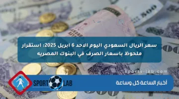 سعر الريال السعودي اليوم الأحد 6 أبريل 2025: استقرار ملحوظ بأسعار الصرف في البنوك المصرية